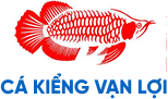 Cá kiểng vạn lợi