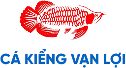 Cá kiểng vạn lợi