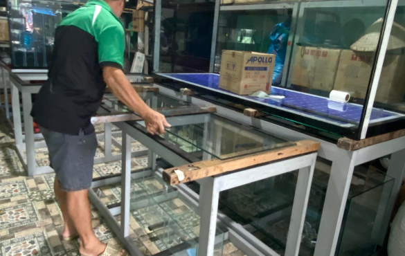 Thi Công Hồ Cá Giá Rẻ Dĩ An